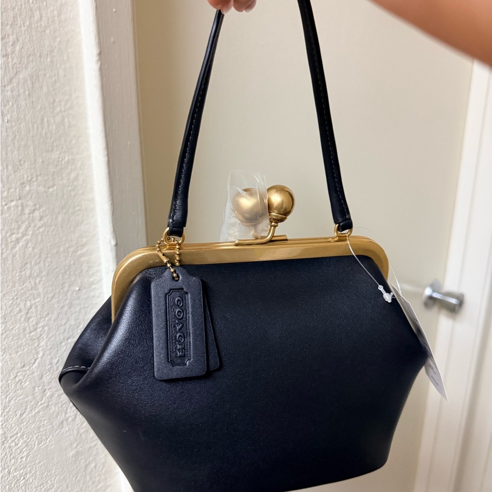 Kisslock Frame Bag 16